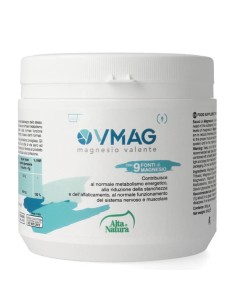 VMAG 300 G