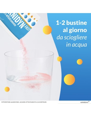 CARNIDYN FAST 12 BUSTINE