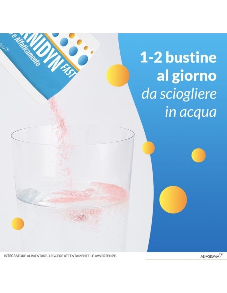 CARNIDYN FAST 12 BUSTINE