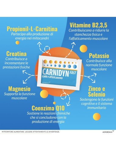 CARNIDYN FAST 12 BUSTINE