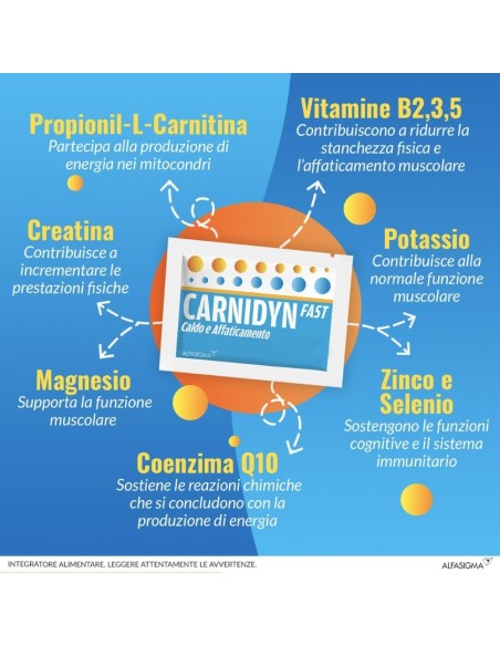 CARNIDYN FAST 12 BUSTINE