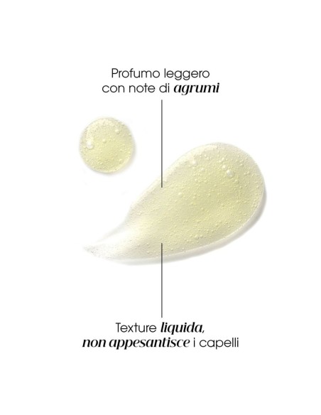 KLORANE SHAMPOO PURIFYING AL CEDRO 400 ML