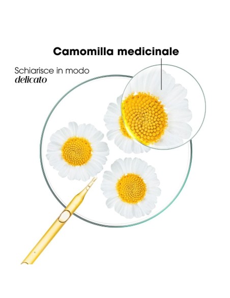 KLORANE SHAMPOO CAMOMILLA 200 ML