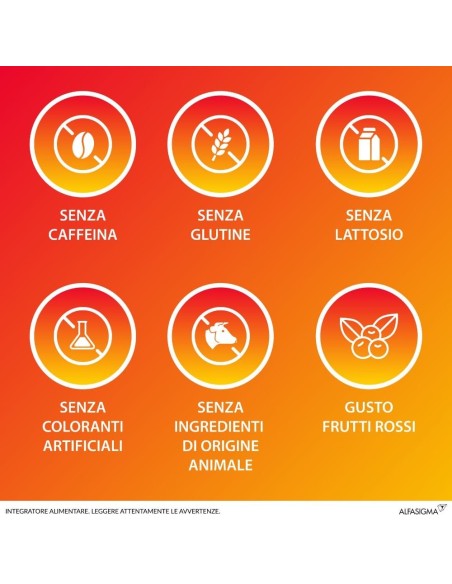 CARNIDYN BOOST 10 FLACONCINI