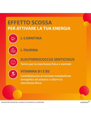 CARNIDYN BOOST 10 FLACONCINI