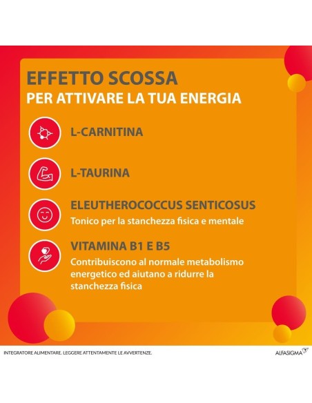 CARNIDYN BOOST 10 FLACONCINI