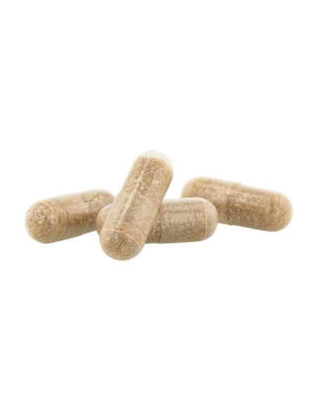DUCRAY ANACAPS EXPERT 90 CAPSULE 2023