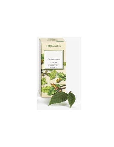 FICUS CARICA GEMME GEMMODERIVATO