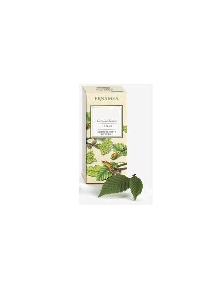 FICUS CARICA GEMME GEMMODERIVATO