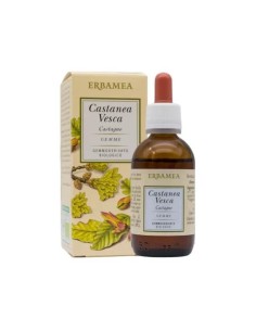 CASTANEA VESCA GEMME GEMMODERIVATO