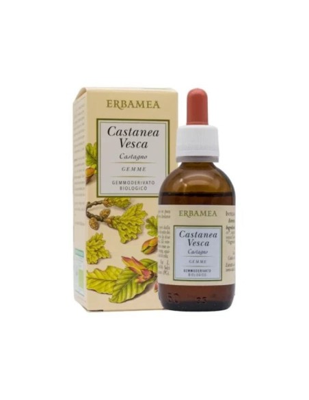 CASTANEA VESCA GEMME GEMMODERIVATO