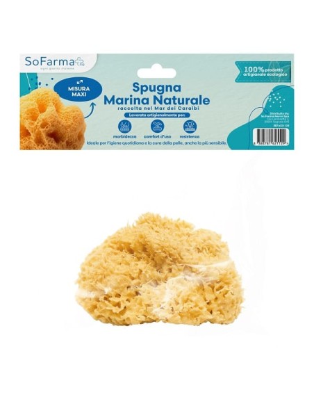 Spugna Marina Naturale Maxi Sofarmapiu'