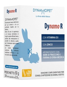 Dynamo R 20 Stick Da 2,5 G