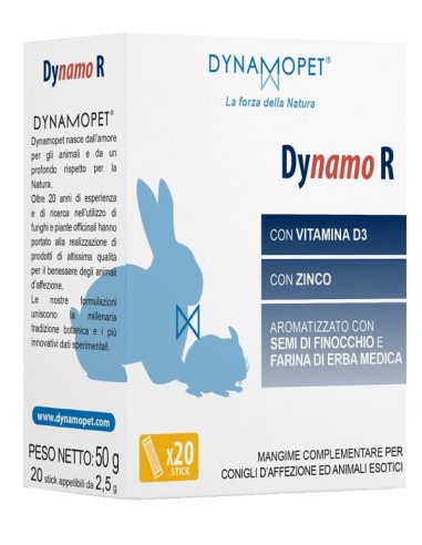 Dynamo R 20 Stick Da 2,5 G