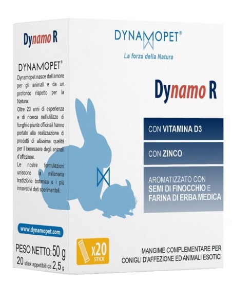 Dynamo R 20 Stick Da 2,5 G