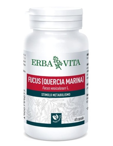 Fucus 60 Capsule 500 Mg