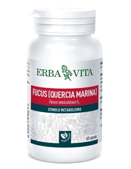 Fucus 60 Capsule 500 Mg