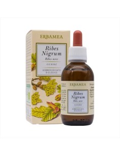 Ribes Nigrum Gemme Gemmoderivato Bio 50 Ml