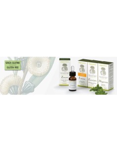 Zenzero 10 Ml