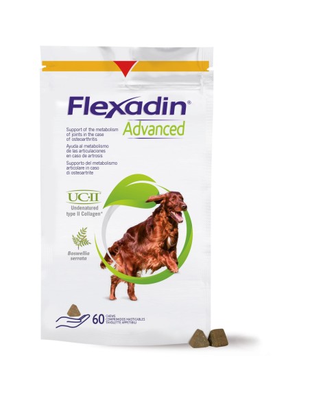 Flexadin Advanced Cane Tutte Le Taglie 60 Tavolette Appetibili