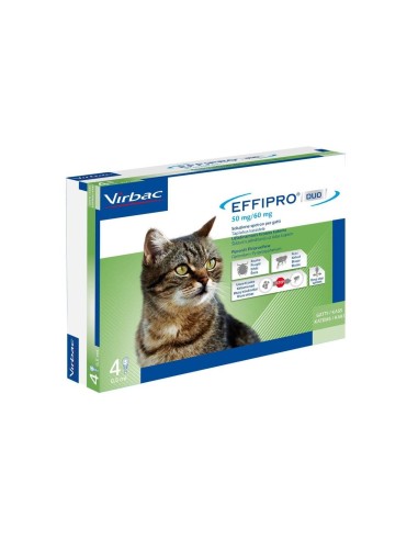 EFFIPRO DUO 4 pipette 1-6 kg gatti
