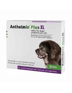 ANTHELMIN PLUS XL 2 compresse