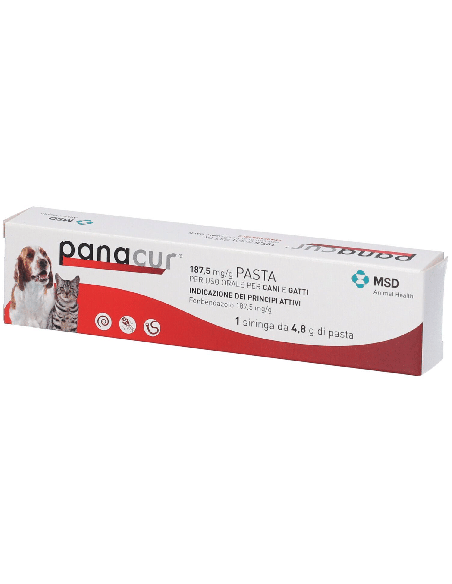 PANACUR orale pasta 1 siringa cani/gatti