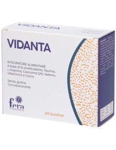 VIDANTA 20 BUSTINE
