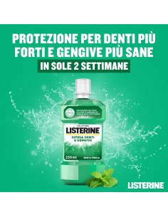 LISTERINE DIFESA DENTI/GENGIVE 250 ML 2