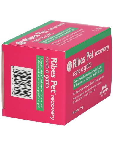 RIBES PET RECOVERY BLISTER 60 PERLE