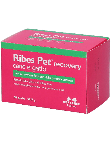 RIBES PET RECOVERY BLISTER 60 PERLE
