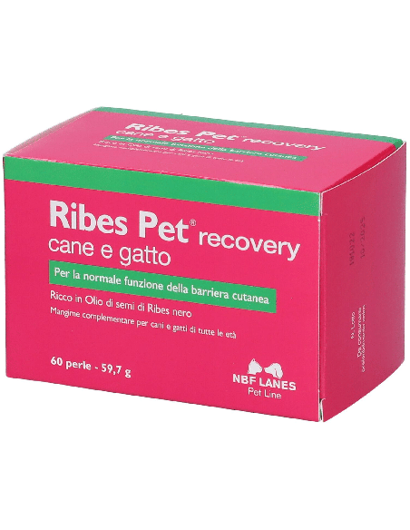 RIBES PET RECOVERY BLISTER 60 PERLE