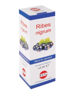 RIBES NIGRUM MACERATO GLICERICO 100 ML GOCCE
