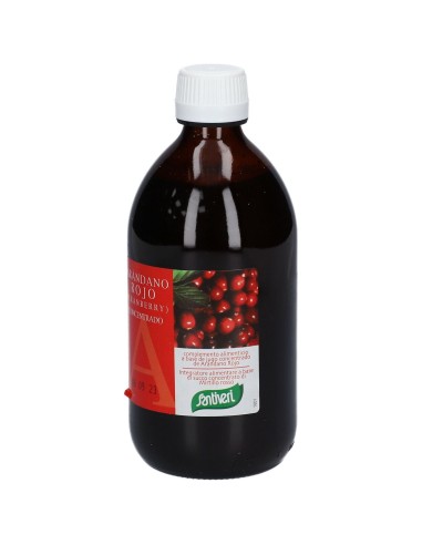 MIRTILLO ROSSO SUCCO CONCENTRATO 490 ML