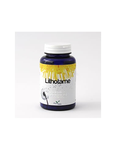 LITHOTAME 60 CAPSULE