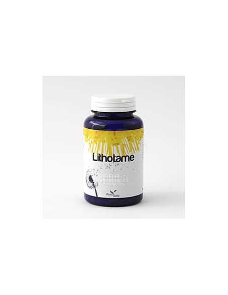 LITHOTAME 60 CAPSULE