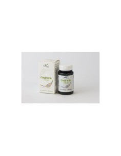 GASTRACTIC PLUS 40 COMPRESSE