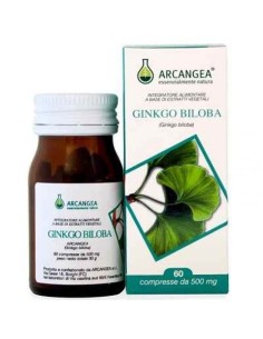 GINKGO BILOBA 60 CAPSULE 500 MG