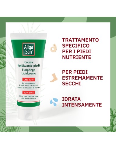 ALLGASAN CREMA LIPIDIZZANTE PIEDI 100 ML