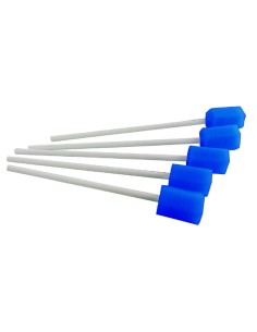 BASTONCINO PULIZIA CAVO ORALE 5 PEZZI