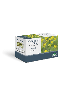 FINOCCHIO DOLCE TISANA 20 FILTRI